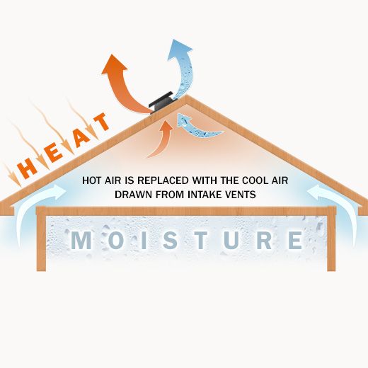 Bow Ceiling Fan Electricians